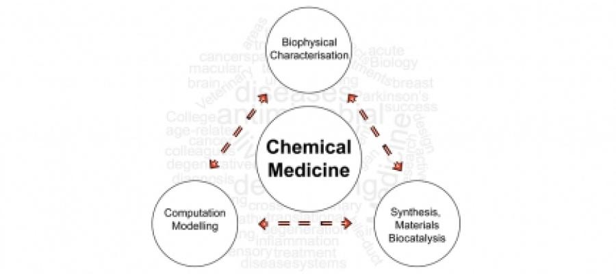 The 3 areas of research in chemical medicine