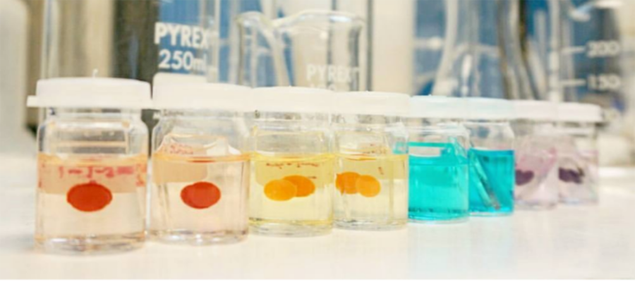 Colourful liquids in beakers